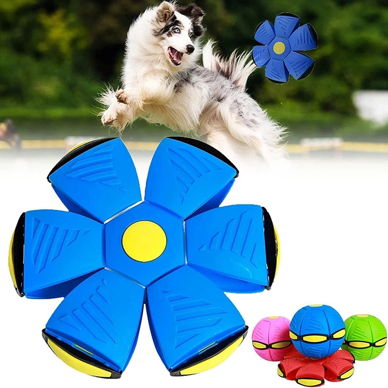 Magic HoverSaucer: Interactive Dog Toy