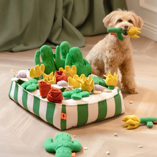 Mewoofun Interactive Food-Hiding Dog Toy - Large