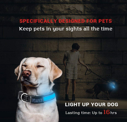 Solar-Powered LED Dog Collar