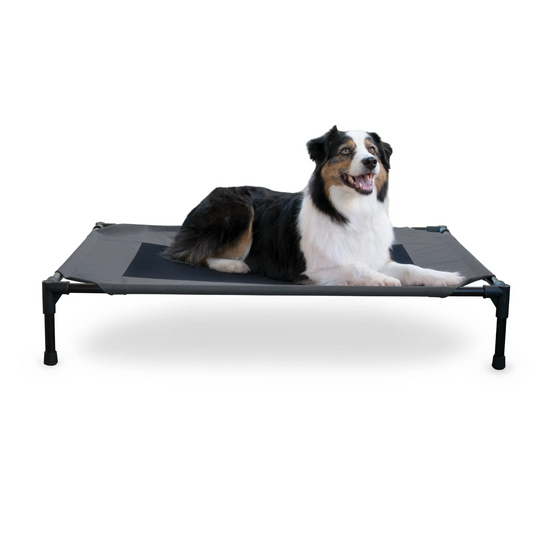 Elevated Pet Beds