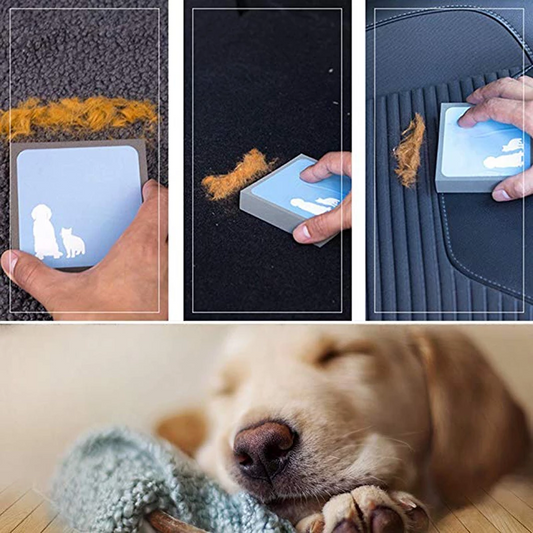 Static-Electricity Pet Hair Remover