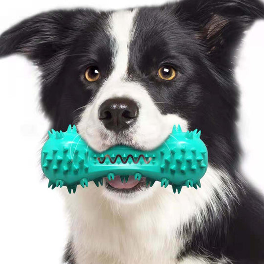 Pet Dental Cleaning Chew Toy